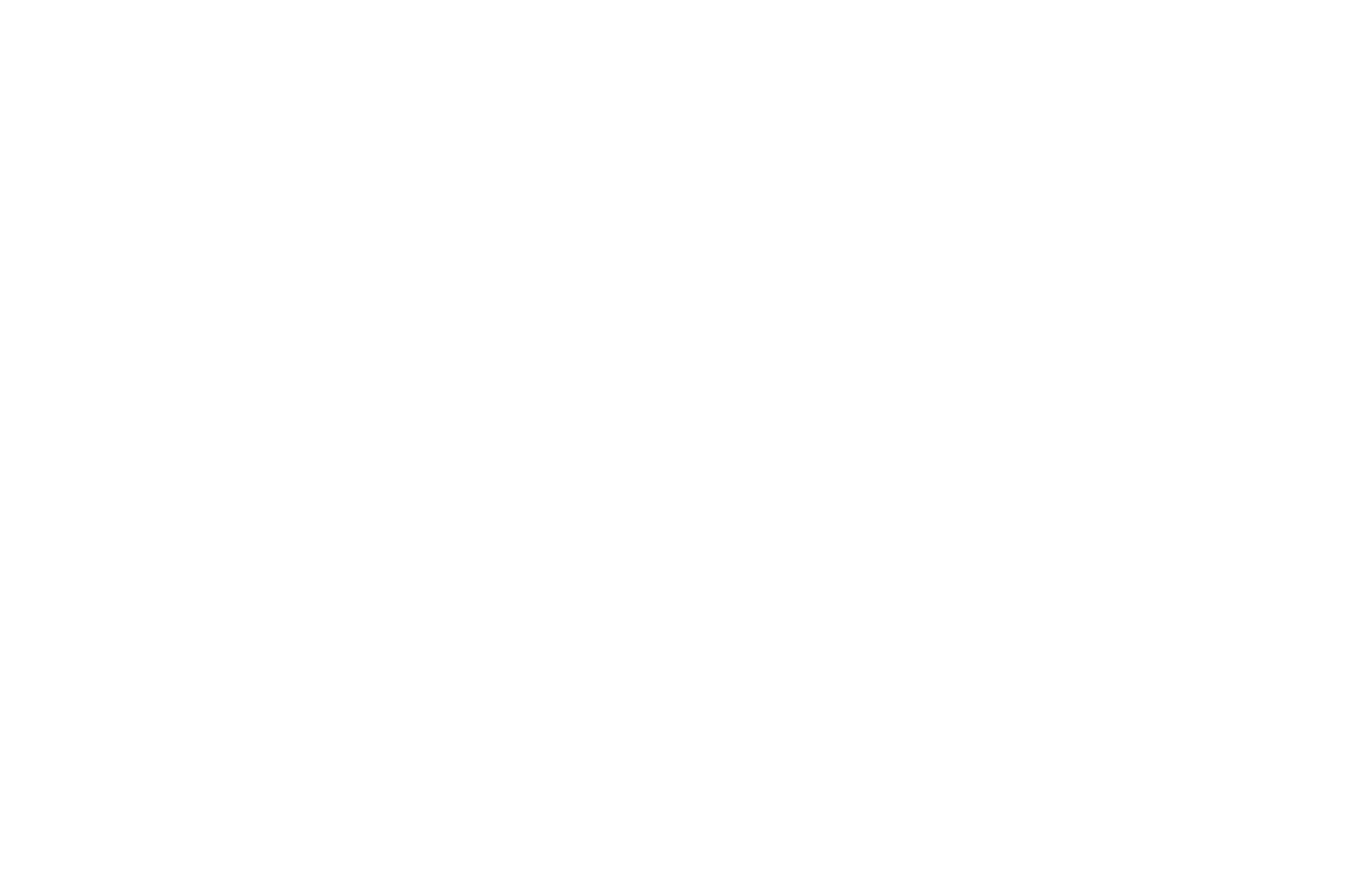 NoWrongPath Logo (White)